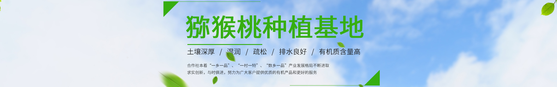 欧宝网页版登录入口（中国）有限公司